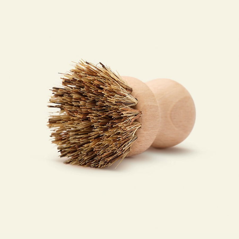 Pylones - Brosse à Vaisselle Originale et Ludique - Brushing Pylones - Brosse à Vaisselle Originale et Ludique - Brushing